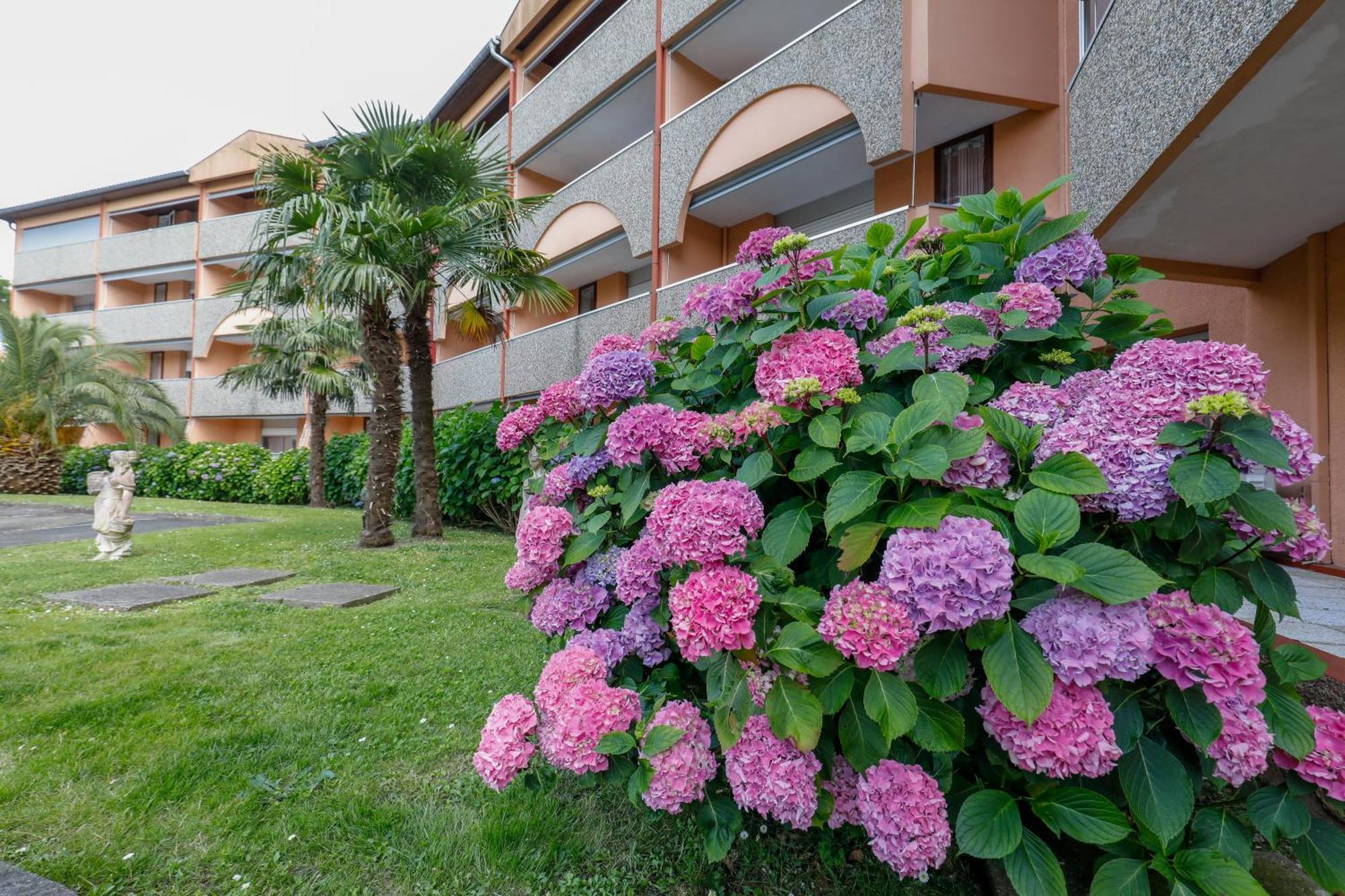 Les Terrasses De Borda*** Dax Exterior foto